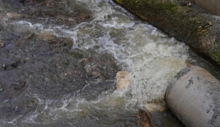Lefke Çevre ve Ekoloji Derneği: Gemikonağı’nda lağım suları çevreyi kirletiyor!