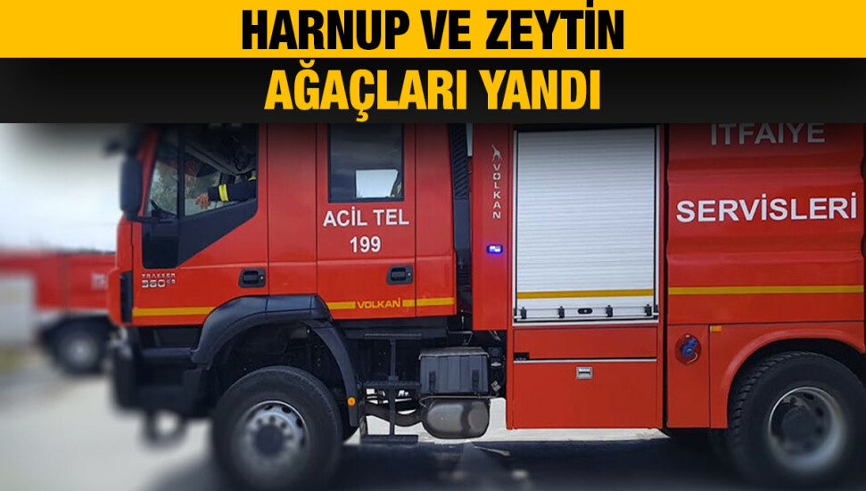 Esentepe - Karpaz Anayolu'nda yangın